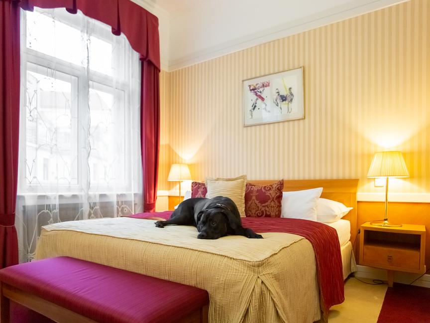 Hotel Paris Prague | Praga 1 | 8