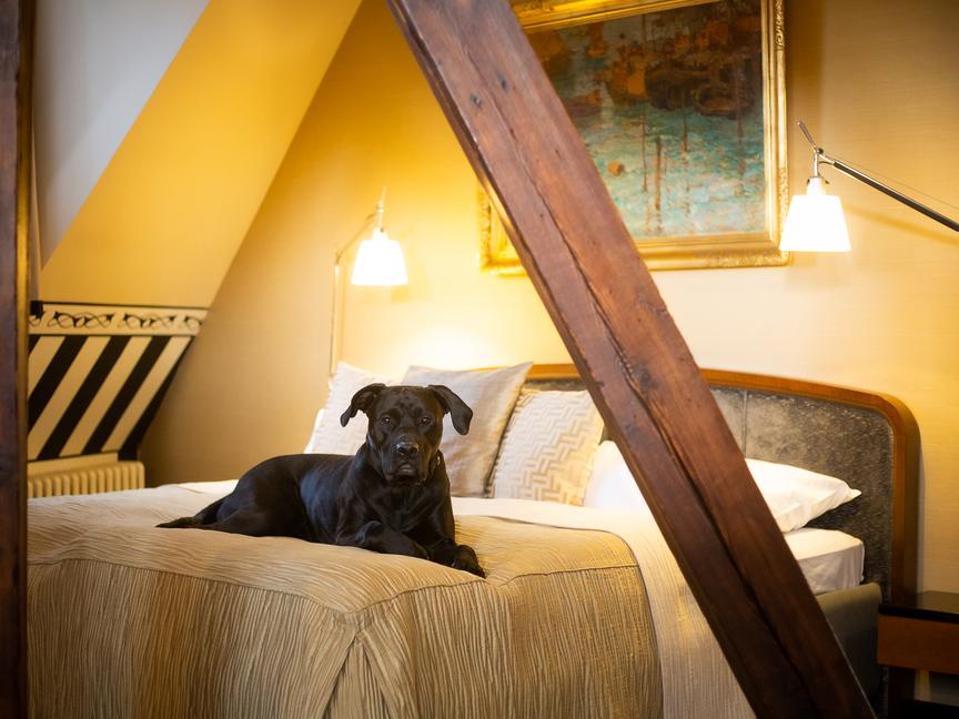 Hotel Paris Prague | Praga 1 | 12